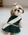 Naadan Tails Pet Festive - Pet Dhavani